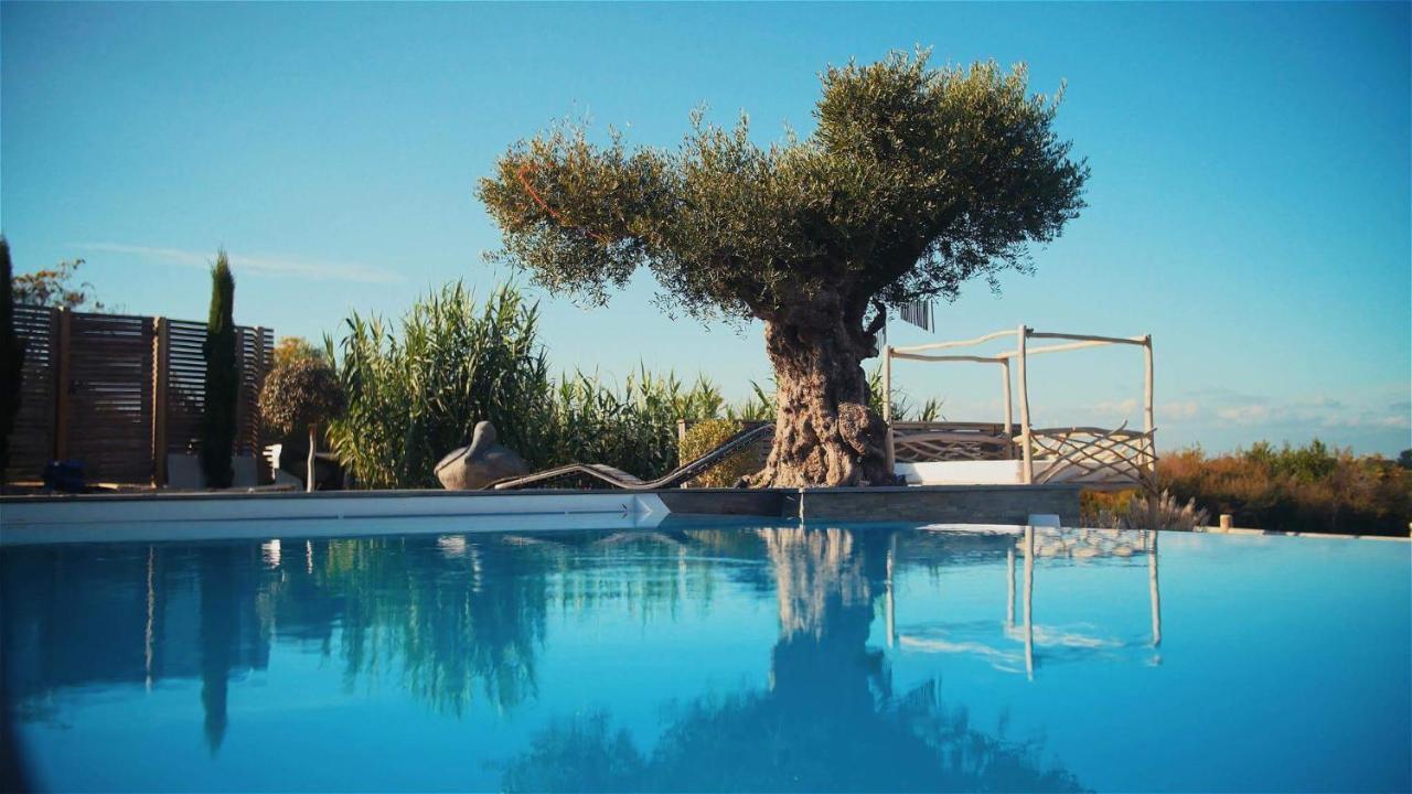 Villa De Luxe Avec Piscine, Vue Imprenable Sene Exterior photo